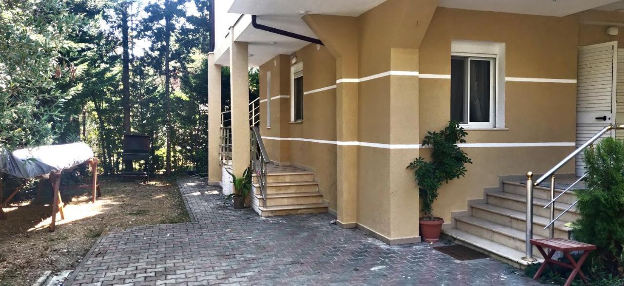 Seasons 3 * Golem (Tirana)